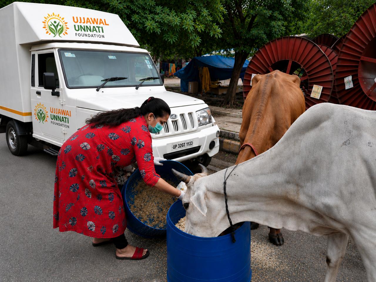 Protection of Cows (Gau Sewa)