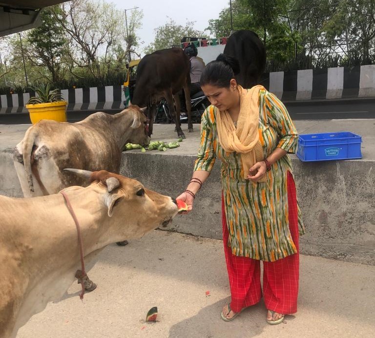 Gau Sewa Program